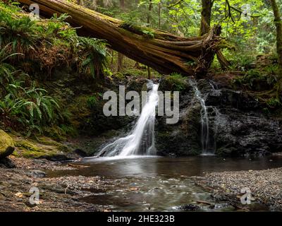 WA21016-00...WASHINGTON - Rustikale Wasserfälle am Cascade Creek im Moran State Park auf Orcas Island. Stockfoto