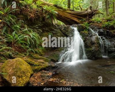 WA21018-00...WASHINGTON - Rustikale Wasserfälle am Cascade Creek im Moran State Park auf Orcas Island. Stockfoto