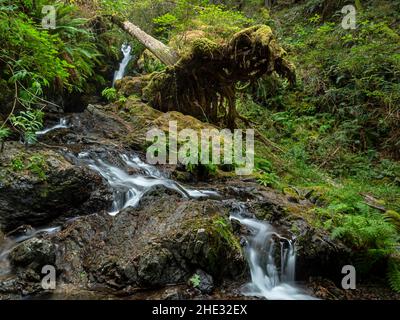 WA21024-00...WASHINGTON - Cavern Falls auf Cascade Creek im Moran State Park auf Orcas Island. Stockfoto