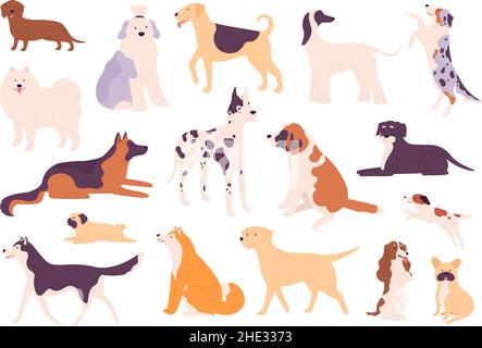 Flache Hunde und Welpen große und kleine Rassen Arten. Shiba inu, deutscher Schäferhund, Beagle, Mops, Dackel und Husky. Vektor-Set für Hunde mit Haustieren Stock Vektor