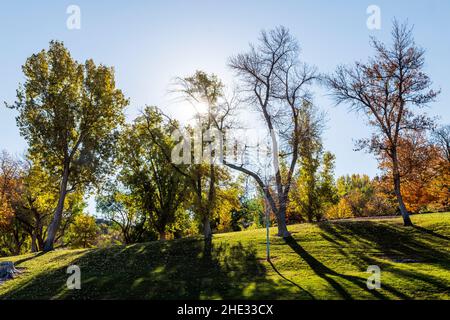 Wunderschöne Herbstfarben; Shoshone Falls Park; Shoshone Falls Wasserkraftprojekt; Snake River Canyon; in der Nähe von Twin Falls; Idaho; USA Stockfoto