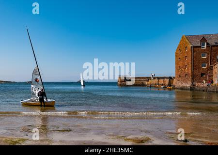 Mann, der am sonnigen Tag in West Bay Segel auf einem Segelboot aufsetzt, North Berwick, East Lothian, Schottland, Großbritannien Stockfoto