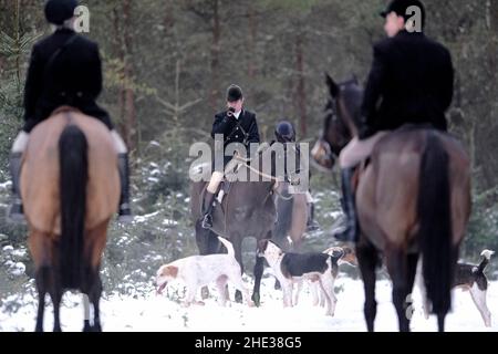 Innerleithen, Großbritannien. 08th Januar 2022. Die Lauderdale Jagd, mit MFH Claire Bellamy ruft die Hunde zurück, während in den Moorfoot Hills im Leithen Wassertal außerhalb Innerleithen in den Scottish Borders ( Quelle: Rob Gray/Alamy Live News Stockfoto