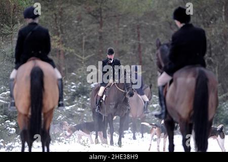 Innerleithen, Großbritannien. 08th Januar 2022. Die Lauderdale Jagd, mit MFH Claire Bellamy ruft die Hunde zurück, während in den Moorfoot Hills im Leithen Wassertal außerhalb Innerleithen in den Scottish Borders ( Quelle: Rob Gray/Alamy Live News Stockfoto