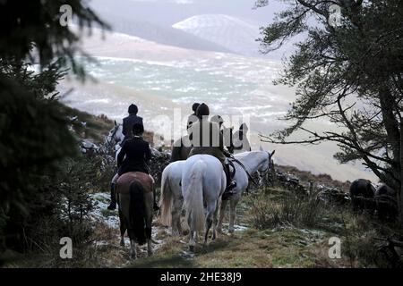 Innerleithen, Großbritannien. 08th Januar 2022. The Lauderdale Hunt, am Samstag, den 08. Januar 2022 mit MFH Claire Bellamy und berittenen Unterstützern, während in den Moorfoot Hills im Leithen Water Valley außerhalb Innerleithen in den Scottish Borders ( Quelle: Rob Gray/Alamy Live News Stockfoto