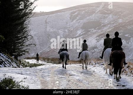 Innerleithen, Großbritannien. 08th Januar 2022. The Lauderdale Hunt, am Samstag, den 08. Januar 2022 mit MFH Claire Bellamy und berittenen Unterstützern, während in den Moorfoot Hills im Leithen Water Valley außerhalb Innerleithen in den Scottish Borders ( Quelle: Rob Gray/Alamy Live News Stockfoto