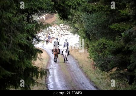 Innerleithen, Großbritannien. 08th Januar 2022. The Lauderdale Hunt, am Samstag, den 08. Januar 2022 mit berittenen Anhängern, während Sie in den Moorfoot Hills im Leithen Water Valley außerhalb von Innerleithen in den Scottish Borders sind ( Quelle: Rob Gray/Alamy Live News Stockfoto