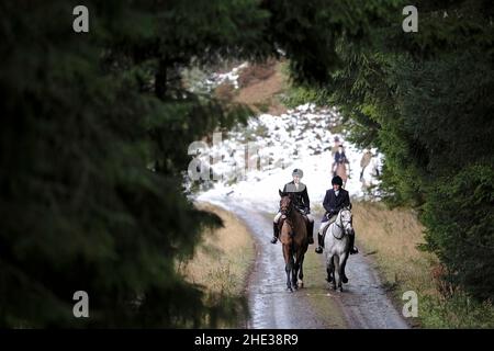 Innerleithen, Großbritannien. 08th Januar 2022. The Lauderdale Hunt, am Samstag, den 08. Januar 2022 mit berittenen Anhängern, während Sie in den Moorfoot Hills im Leithen Water Valley außerhalb von Innerleithen in den Scottish Borders sind ( Quelle: Rob Gray/Alamy Live News Stockfoto