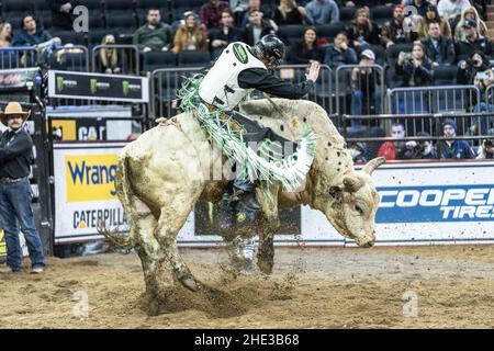 New York, NY - 7. Januar 2022: Boudreaux Campbell aus Crockett, Texas, reitet einen Stier während PBR Unleash the Beast im Madison Square Garden Stockfoto