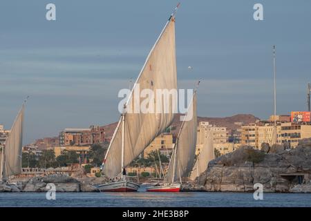 Felucca Segelboote auf dem Nil in der Stadt Assuan in Süditegypten. Eine traditionelle Transportmethode in der Gegend und beliebt bei Touristen. Stockfoto