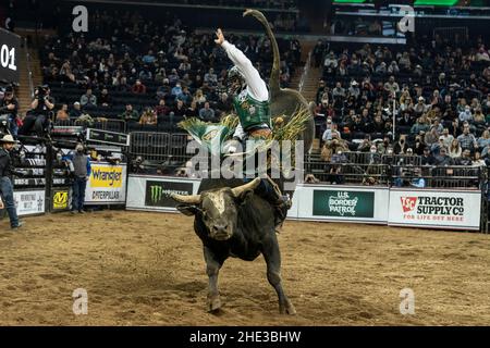 New York, NY - 7. Januar 2022: Andrew Alvidrez aus Seminole, Texas, reitet einen Stier während PBR Unleash the Beast im Madison Square Garden Stockfoto