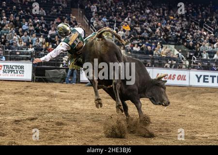 New York, NY - 7. Januar 2022: Andrew Alvidrez aus Seminole, Texas, reitet einen Stier während PBR Unleash the Beast im Madison Square Garden Stockfoto