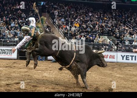 New York, NY - 7. Januar 2022: Andrew Alvidrez aus Seminole, Texas, reitet einen Stier während PBR Unleash the Beast im Madison Square Garden Stockfoto