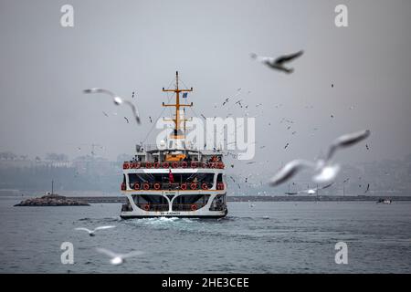 Istanbul, Türkei. 08th Januar 2022. Mit der historischen Halbinsel im Hintergrund, schuf die City Lines Fähre eine schöne Aussicht mit den fliegenden Möwen. (Foto von Onur Dogman/SOPA Images/Sipa USA) Quelle: SIPA USA/Alamy Live News Stockfoto