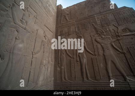 Steinreliefskulpturen an den Wänden des Kom Ombo-Tempels in Ägypten. Stockfoto