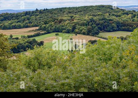 Blick auf Chalk Downlands am Rande der Chiltern Hills, Ashridge Estate, Buckinghamshire, England, Großbritannien. 8th vom September 2018 Stockfoto