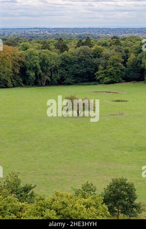 Blick auf Chalk Downlands am Rande der Chiltern Hills, Ashridge Estate, Buckinghamshire, England, Großbritannien. 8th vom September 2018 Stockfoto