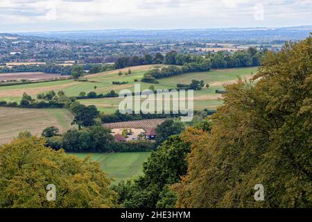 Blick auf Chalk Downlands am Rande der Chiltern Hills, Ashridge Estate, Buckinghamshire, England, Großbritannien. 8th vom September 2018 Stockfoto