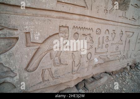 Eine Eule und andere alte ägyptische Hieroglyphen erscheinen auf einer Steinmauer im Kom Ombo Tempel in Ägypten. Stockfoto