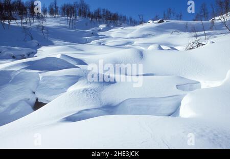 Neu gefallener Schnee in weichen Pflaumen, Textur in einem überdachten Bach, Bach. Strahlender Sonnenschein, Berghang. Analog. Stockfoto