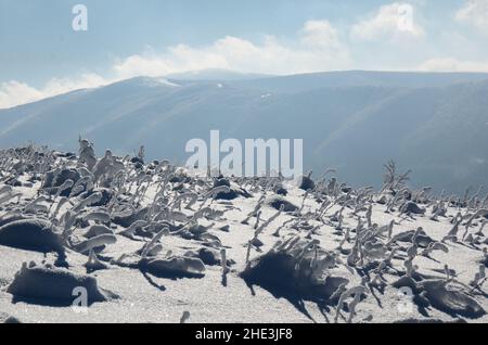 Winter im Nationalpark Bieszczady. Blick von Połonina Wetlińska auf die Berge Little Rawka und Big Rawka Stockfoto