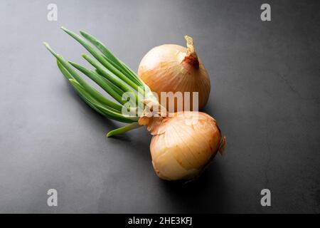 Gekeimt und ungekeimt Zwiebeln auf dunklem Hintergrund: Eine gelbe Zwiebel mit grünen Blättern oder Triebe, die neben einer ungekeimt Zwiebel keimen Stockfoto