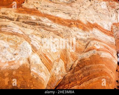 Detailansicht rotbraune und weiße Streifen im Grundgestein im White Pocket Area Vermilion Cliffs National Monument Arizona Stockfoto