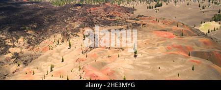 Bunte Landschaft mit roter, oranger Asche in Painted Dunes im Lassen National Forest. Foto vom Schlackenkegel im Juli. Das Leben wächst im Zyklus. Stockfoto