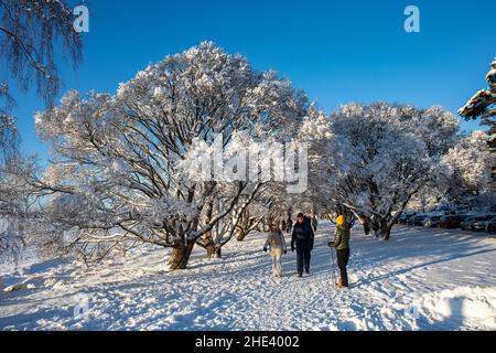 Outdoor-Erholung unter schneebedeckten Bäumen an sonnigen Wintertagen im Munkkiniemi-Viertel von Helsinki, Finnland Stockfoto