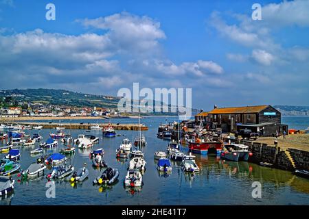 UK, Dorset, Lyme Regis, den Hafen und Aquarium Stockfoto