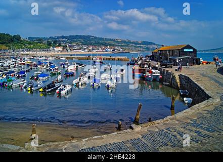 UK, Dorset, Lyme Regis, den Hafen und Aquarium Stockfoto