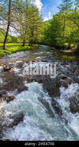 Bergfluss fließt durch das grüne Tal. Wasser fließt entlang der Küste mit Bäumen und Wiese. Entspannende Sommer Natur Hintergrund am Morgen l Stockfoto