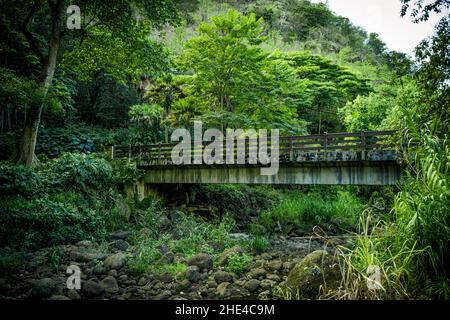 Landschaftsansicht der Brücke in den Tropen. Waimea Falls, Oahu Hawaii Stockfoto