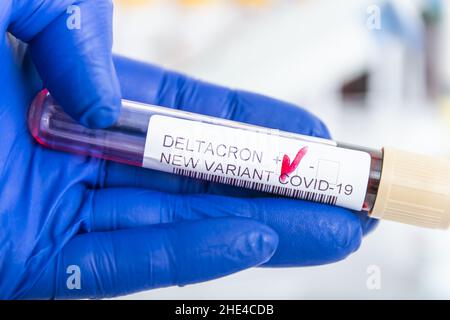 Forscher mit Blutprobe der neuen Variante des Covid-19 DELTACRON und generischen Daten von Covid-19 Coronavirus-Mutationen. Arzt im Analyselabor Stockfoto