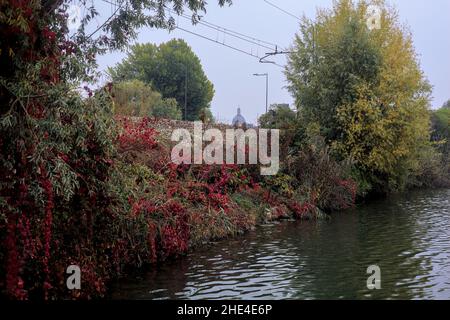 Bäume am Ufer eines Sees an einem bewölkten Tag im Winter Stockfoto