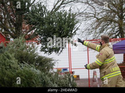 Richmond, Kanada. 8th Januar 2022. Am 8. Januar 2022 stapelt ein Feuerwehrmann einen Baum während der jährlichen Weihnachtsbaumhackveranstaltung in Richmond, British Columbia, Kanada. Feuerwehrleute haben sich freiwillig gemeldet, um den Bewohnern bei der jährlichen Baumschürfveranstaltung zu helfen, ihre Weihnachtsbäume zu recyceln. Quelle: Liang Sen/Xinhua/Alamy Live News Stockfoto