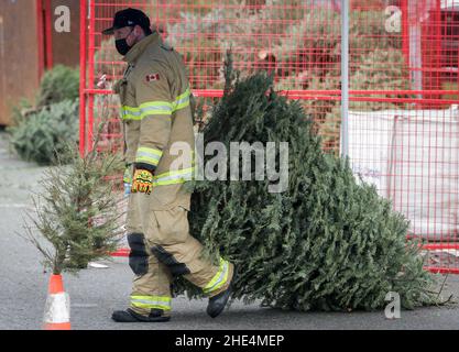 Richmond, Kanada. 8th Januar 2022. Am 8. Januar 2022 trägt ein Feuerwehrmann einen Baum bei der jährlichen Weihnachtsbaumhackveranstaltung in Richmond, British Columbia, Kanada. Feuerwehrleute haben sich freiwillig gemeldet, um den Bewohnern bei der jährlichen Baumschürfveranstaltung zu helfen, ihre Weihnachtsbäume zu recyceln. Quelle: Liang Sen/Xinhua/Alamy Live News Stockfoto