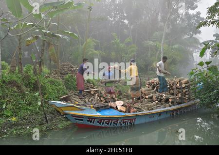 Arbeiter laden Logs in Boat - Bangladesch Stockfoto