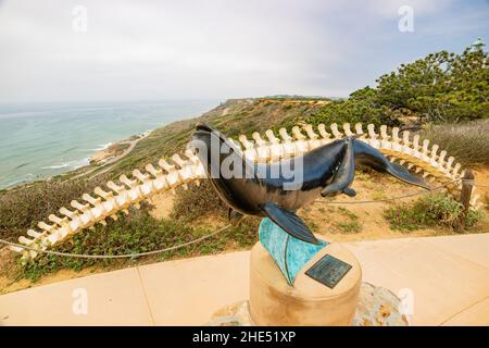 San Digeo, MAI 29 2015 - Bewölkter Blick auf eine Kunst in Whale Overlook Stockfoto