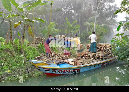 Arbeiter laden Logs in Boat - Bangladesch Stockfoto