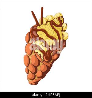 Handgezeichnete Vektordarstellung von Hongkongs Waffeln mit Belag aus Eis, Banane und Schokolade. Kunst im Cartoon-Stil. Isoliert auf weißem Hintergrund. Stock Vektor