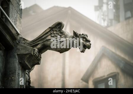 Gargoyle Statue, Chimären, in Form eines mittelalterlichen geflügelten Monster, aus dem königlichen Schloss in Bana Hügel, Tourismus-Website in Da Nang, Vietnam. Gotisch alt Stockfoto