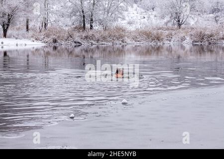 Ein Mann mittleren Alters schwimmt an einem kalten Wintertag am Fluss entlang vor dem Hintergrund schneebedeckter Bäume. Das Konzept der Härtung, gesunde Lebensweise Stockfoto