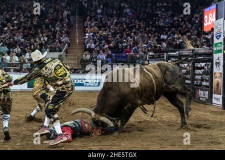 New York, NY - 8. Januar 2022: Silvano Alves von Pilar do Sul, Brasilien reitet während des 2nd. PBR-Tages auf einem Stier Unleash the Beast im Madison Square Garden Stockfoto