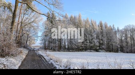 Panorama der schneebedeckten Landschaft in den Wäldern der Region Westerwald während der Winterzeit in Rheinland-Pfalz, Deutschland, Europa Stockfoto