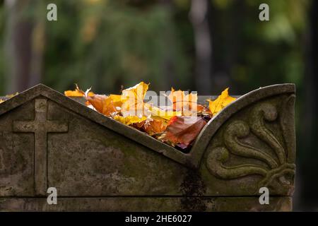 Alter Grabstein mit sonnenbeschienenen, heruntergefallenen Blättern, Herbstsaison auf einem Friedhof. Stockfoto