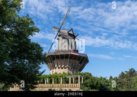 Historische Mühle von Sanssouci, holländische Windmühle in der Stadt Potsdam, Brandenburg, Deutschland. Stockfoto