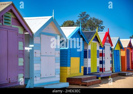 Bunte Hütten am Brighton Beach an einem sonnigen Morgen, Australien Stockfoto