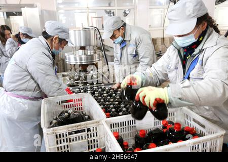 LIANYUNGANG, CHINA - 9. JANUAR 2022 - Arbeiter können in einer Essigfabrik in Lianyungang, der ostchinesischen Provinz Jiangsu, Essig zubereiten, 9. Januar 2022. Stockfoto