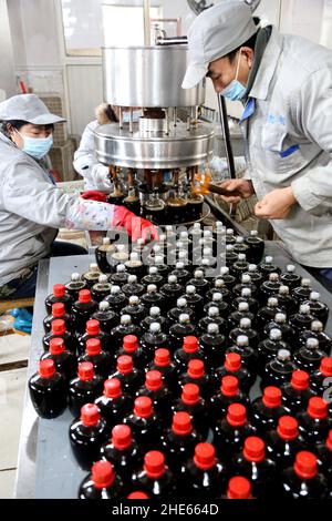 LIANYUNGANG, CHINA - 9. JANUAR 2022 - Arbeiter können in einer Essigfabrik in Lianyungang, der ostchinesischen Provinz Jiangsu, Essig zubereiten, 9. Januar 2022. Stockfoto